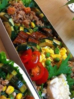 鯖そぼろ弁当-レシピのメイン写真