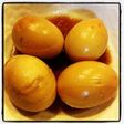 簡単☆にんにく風味の煮卵