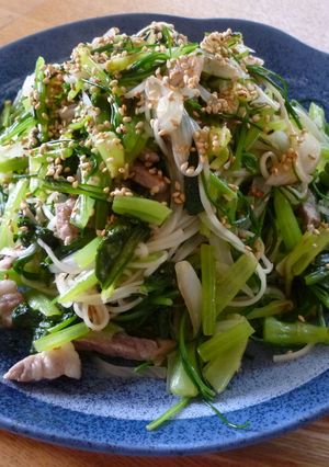 野菜たっぷり！そーみん(素麺)ちゃんぷる-レシピのメイン写真