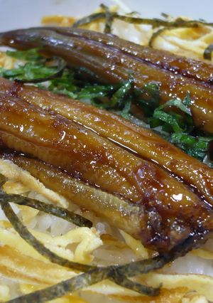 簡単主食☆穴子丼-レシピのメイン写真