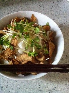 サッパリこぼうおろしうどん♬-レシピのメイン写真