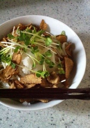 サッパリこぼうおろしうどん♬-レシピのメイン写真