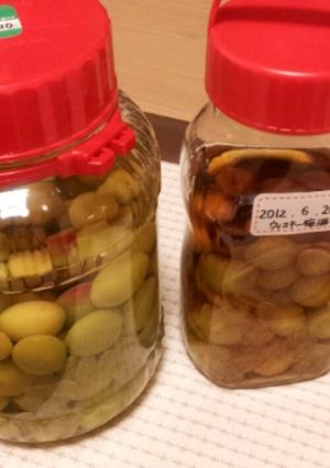 我が家の梅酒、ウィスキーverあり!-レシピのメイン写真