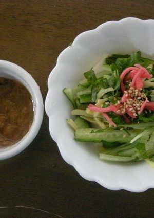生姜としそde夏バテ防止豆腐バージョン-レシピのメイン写真