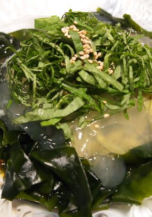 煮こごりのせ☆冷やしわかめうどん-レシピのメイン写真