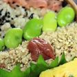 醤油麹でしっとり鶏そぼろ。