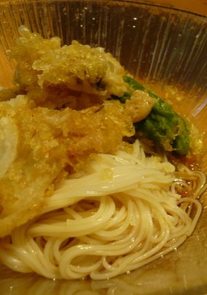野菜かき揚げぶっかけそうめん-レシピのメイン写真