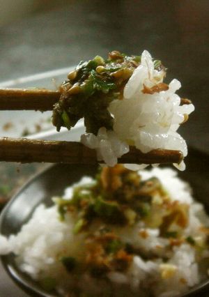 ネギカツオザーサイでご飯のおとも!-レシピのメイン写真