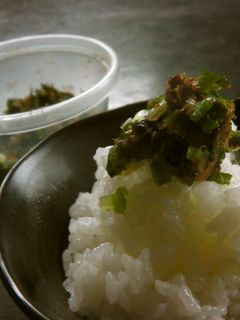 ネギシソミョウガでご飯のおとも!-レシピのメイン写真