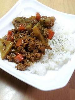レンコンとひき肉のカレー-レシピのメイン写真