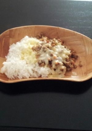 高野豆腐で量増しキーマカレー☆-レシピのメイン写真