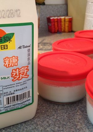 アメリカでおいしい　☆手作りすくい豆腐☆-レシピのメイン写真