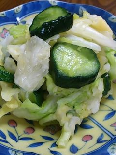 キャベツの漬物だワン-レシピのメイン写真