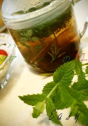フレッシュ＊レモンバームとミントの紅茶-レシピのメイン写真