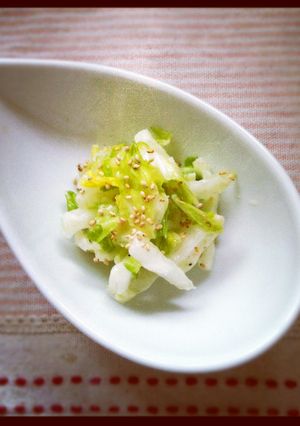 白菜でもう１品：塩麹ドレッシング-レシピのメイン写真