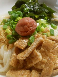 梅干しでさっぱり!冷やしきつねうどん-レシピのメイン写真
