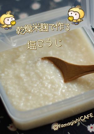 乾燥麹で作る塩麹♡観察レシピ-レシピのメイン写真