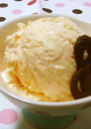 簡単濃厚ハーゲン○ッツ風バニラ-レシピのメイン写真