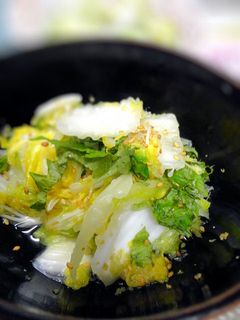 簡単☆白菜の柚子胡椒風味浅漬-レシピのメイン写真
