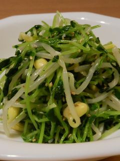 豆もやしと豆苗の豆豆ナムル-レシピのメイン写真