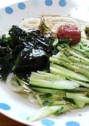 さっぱり白だしうどん　梅干しのせ-レシピのメイン写真