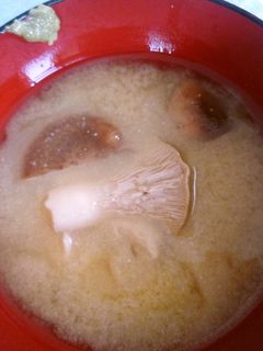 きのこのお味噌汁♥柚子胡椒風味-レシピのメイン写真