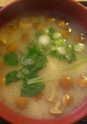 我が家の☆なめことお豆腐のお味噌汁-レシピのメイン写真