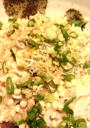 かなるンちののっけ盛り冷やしうどん-レシピのメイン写真