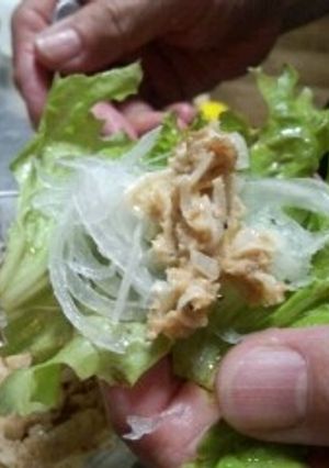 らっきょうとでんぶのディップ-レシピのメイン写真