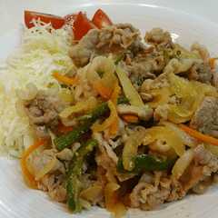 A picture of 豚のしょうが焼き.