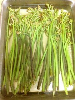 簡単!*わらびのアク抜き(お湯と重曹)-レシピのメイン写真