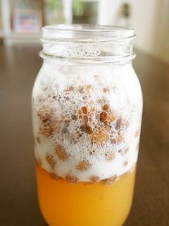 レーズン酵母-レシピのメイン写真