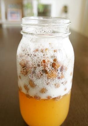 レーズン酵母-レシピのメイン写真