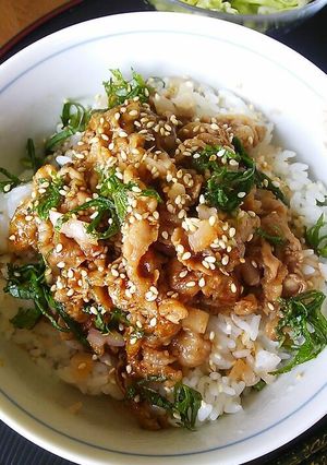 生姜さっぱり夏のガッツリ豚肉さっぱり丼-レシピのメイン写真