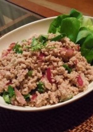 本格ラープ・ムー-レシピのメイン写真