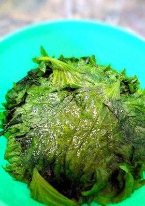 大葉の醤油麹漬け-レシピのメイン写真