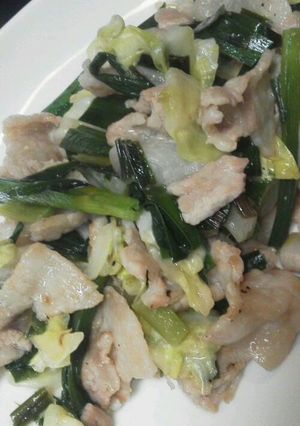 塩回鍋肉風-レシピのメイン写真