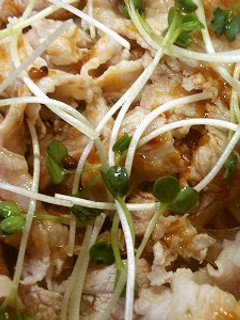 ヘルシー(^^♪ 豚肉の冷しゃぶ-レシピのメイン写真