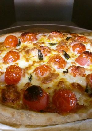 ﾎｼﾉ天然酵母☆炊飯器で簡単ピザ生地-レシピのメイン写真