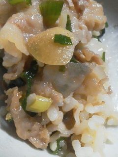 豚肉のねぎにんにくスタミナ丼-レシピのメイン写真