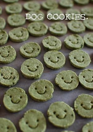 *わんこ用*抹茶クッキー-レシピのメイン写真