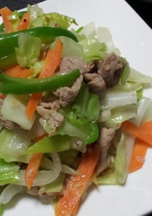 野菜たっぷり塩麹DE肉野菜炒め-レシピのメイン写真