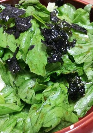 レタスと海苔だけの簡単サラダ-レシピのメイン写真