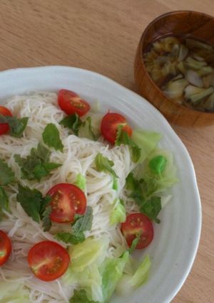 野菜たっぷりそうめん-レシピのメイン写真