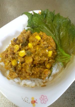 夏野菜たっぷり☆ドライカレー-レシピのメイン写真