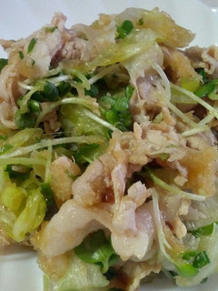 簡単冷しゃぶサラダ-レシピのメイン写真