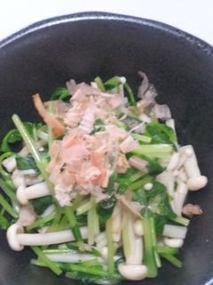 簡単スピーディ♥豆苗とえのきのおひたし-レシピのメイン写真