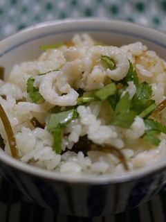 白えびの塩辛で塩麹炊き込みごはん♪-レシピのメイン写真