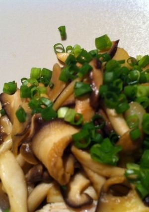 ささみのきのこソース-レシピのメイン写真