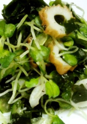 簡単　きゅうりと竹輪の酢の物-レシピのメイン写真